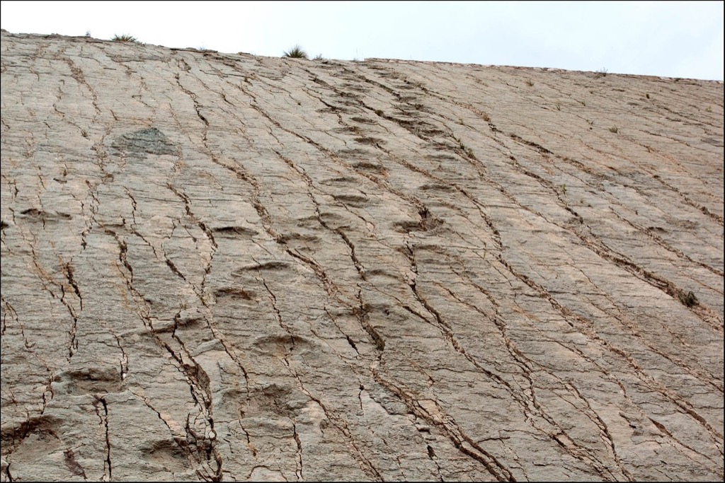 Dinosaur Tracks in Sucre, Bolivia